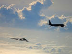 B-2 Spirit -- Operation Iraqi Freedom af.mil